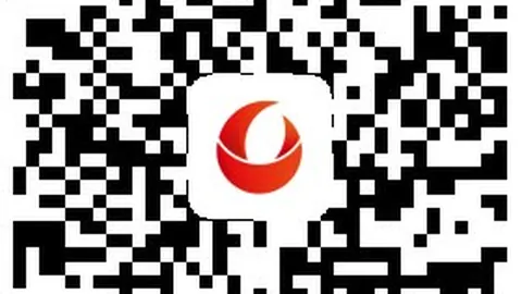 英雄联盟12夺冠，荣耀时刻回顾